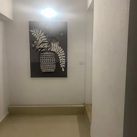 Abuelos 3